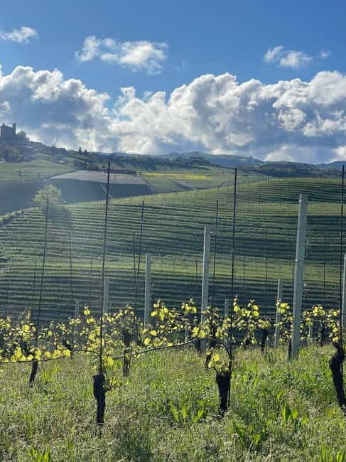Langhe Wine Tour with Sommelier Barolo Barbaresco & beyond - FAQ