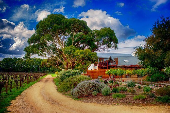 Langhorne Creek Wine Region Daytrip with Lunch from Adelaide - Key Points
