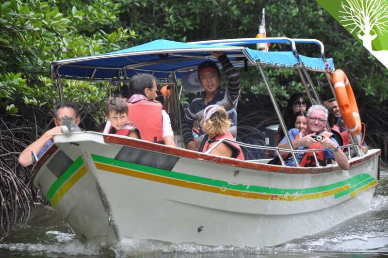 Langkawi: 6-Hour Kilim Mangrove Boat Tour w/ Lunch & Pickup - An In-Depth Look at the Langkawi Mangrove Experience