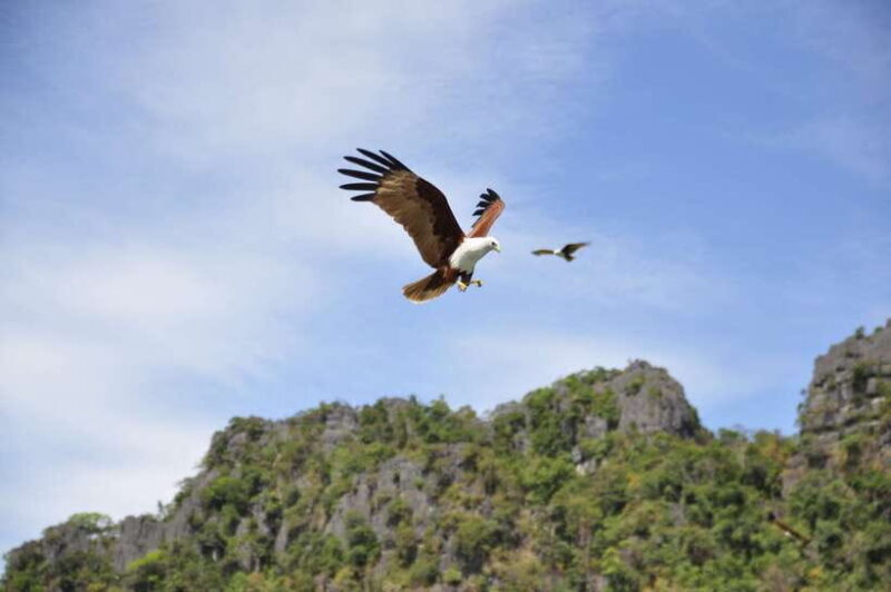 Langkawi: 6-Hour Private Island Highlights Tour - What’s Included and How It Adds Value