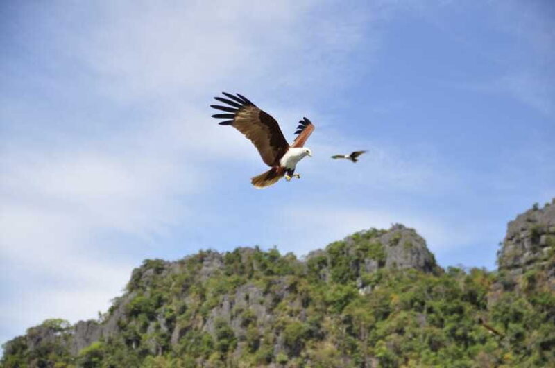 Langkawi: 6-Hour Private Island Highlights Tour - Food and Local Flavor