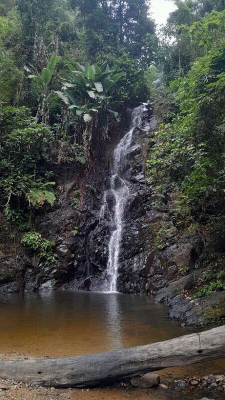 Langkawi: Countryside Bike Tour, Waterfall Swim & Dessert - Discovering Langkawi’s Countryside by Bicycle