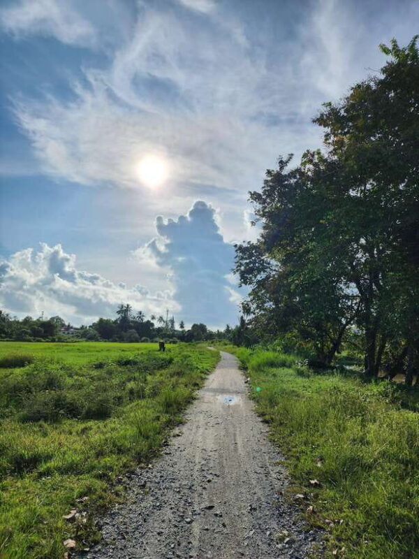 Langkawi : Countryside Cycling Tour - The Sum Up