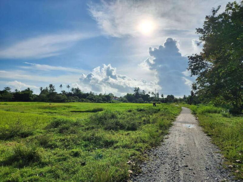 Langkawi : Countryside Cycling Tour - FAQs