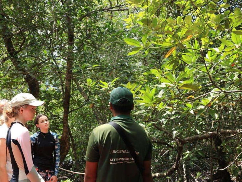 Langkawi: Kayaking Adventure and Swimming - Key Points