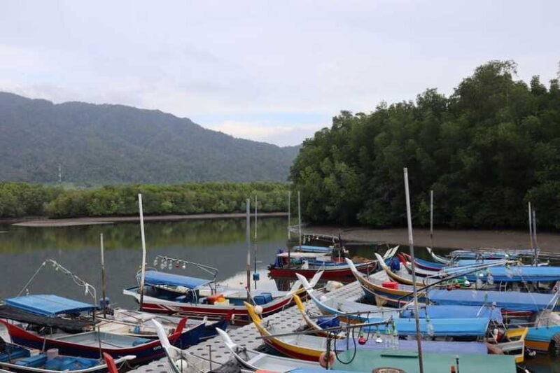 Langkawi: Kayaking Adventure and Swimming - What Makes This Tour Valuable