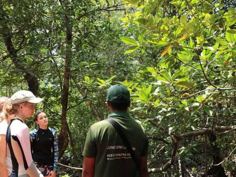 Langkawi: Kayaking Adventure and Swimming - FAQ