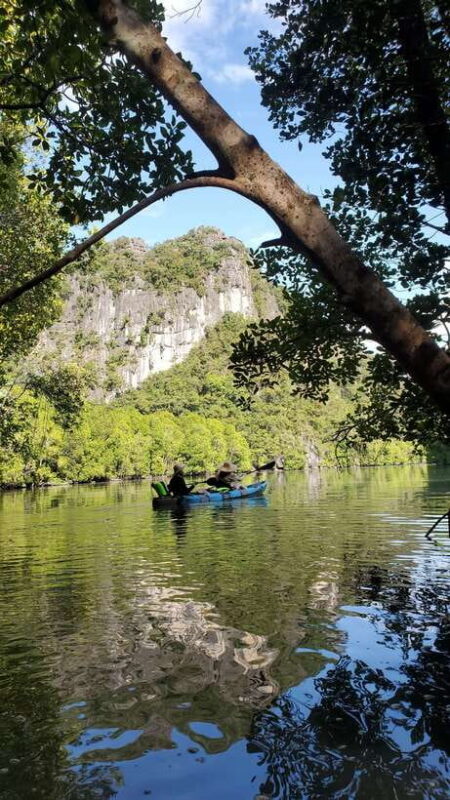 Langkawi : Kilim Geoforest Mangrove Kayak Tour with Lunch - Key Points