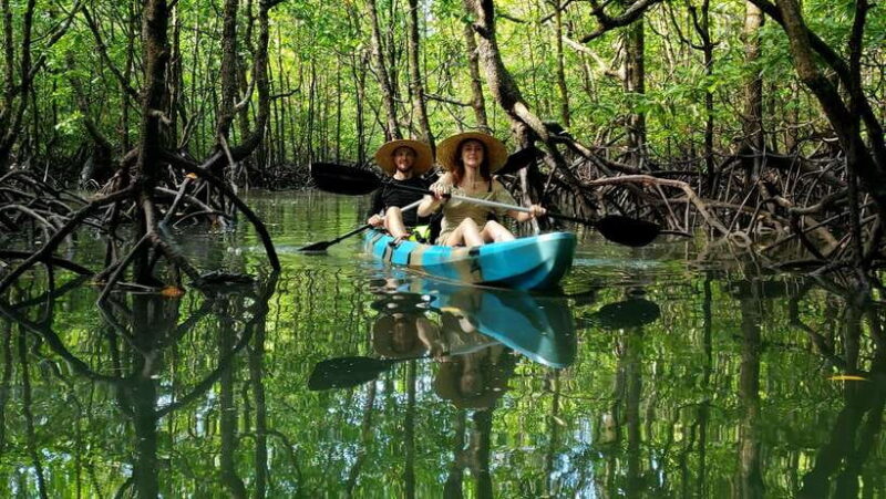 Langkawi : Kilim Geoforest Mangrove Kayak Tour with Lunch - The Kayaking Experience