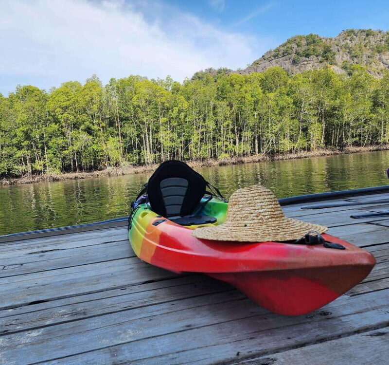 Langkawi : Kilim Geoforest Mangrove Kayak Tour with Lunch - The Floating Restaurant Lunch