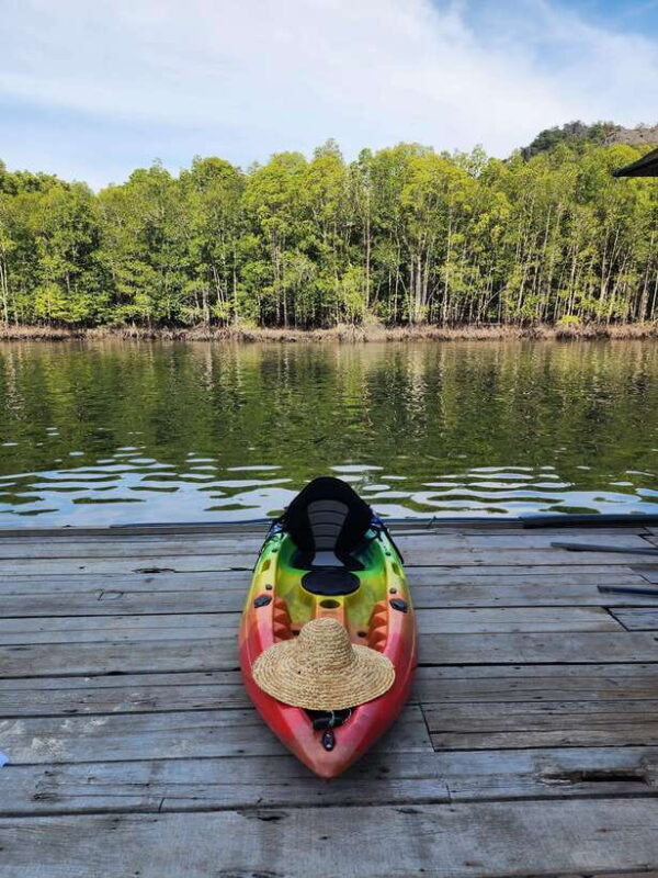 Langkawi : Kilim Geoforest Mangrove Kayak Tour with Lunch - The Boat Ride and Logistics