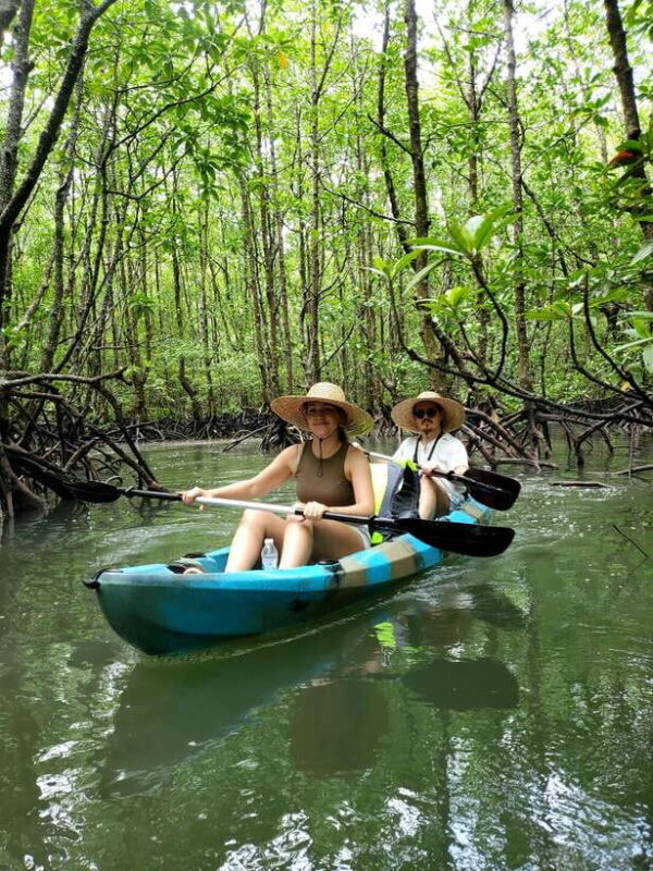 Langkawi : Kilim Geoforest Mangrove Kayak Tour with Lunch - Practical Details