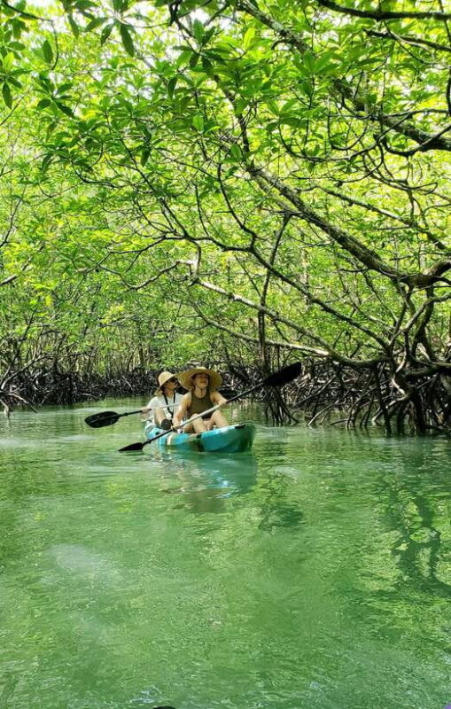Langkawi : Kilim Geoforest Mangrove Kayak Tour with Lunch - Authentic Feedback from Travelers