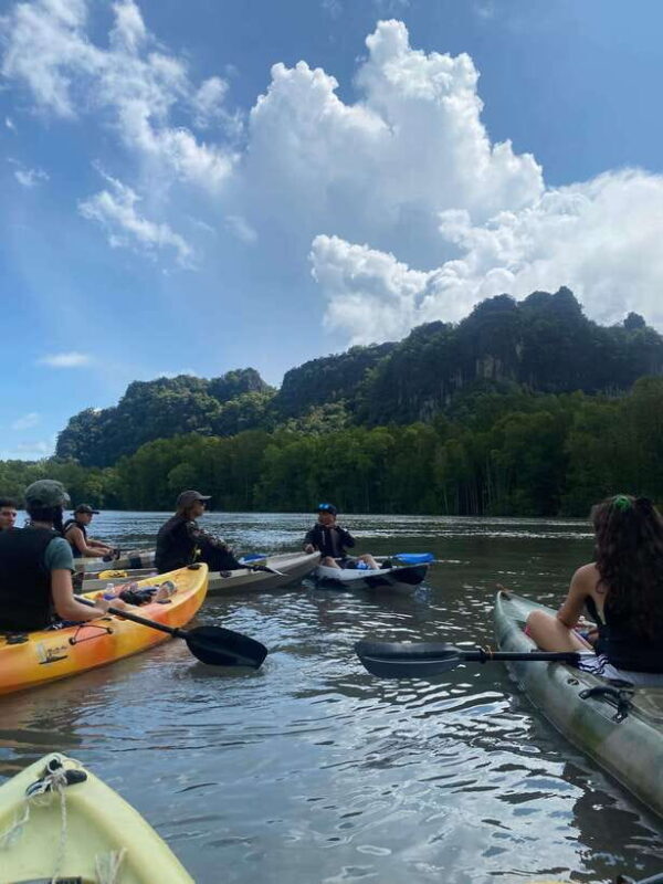 Langkawi: Kilim Karst Mangrove Kayak Adventure - Final Thoughts: Is It Worth It?
