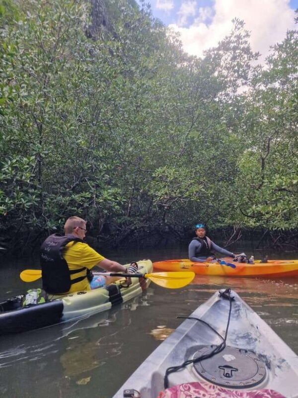 Langkawi: Kilim Karst Mangrove Kayak Adventure - In The Sum Up
