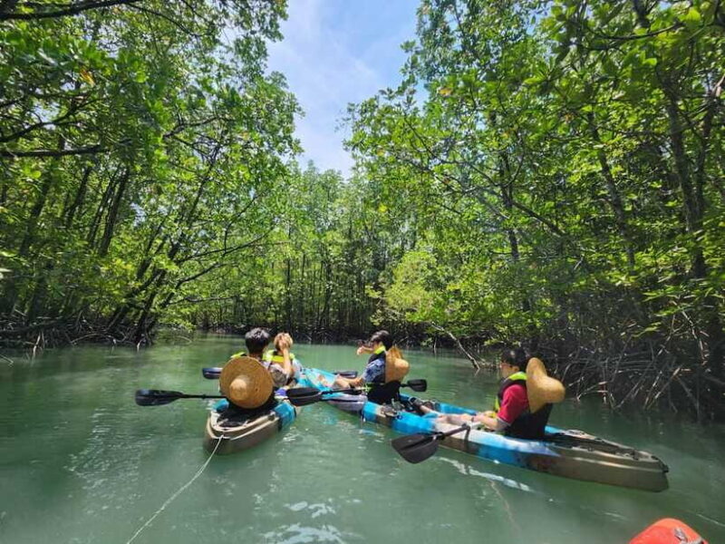 Langkawi : Kilim Mangrove Boat & Fun Kayak Tour with Lunch - The Sum Up: Is This Tour Worth It?