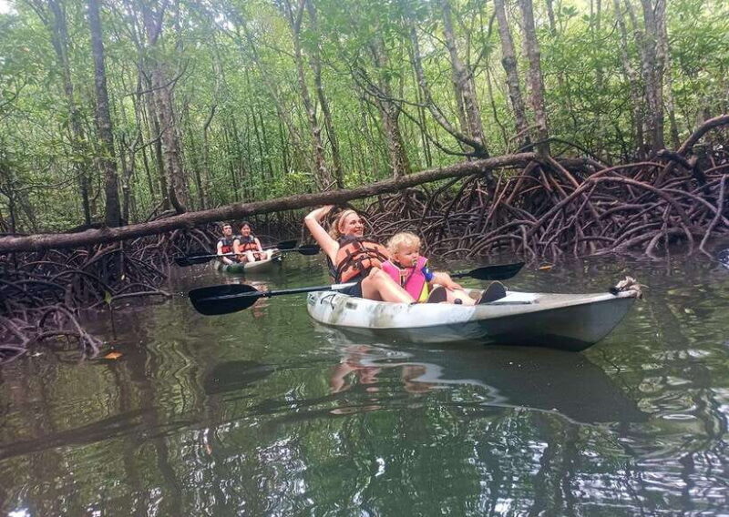Langkawi: Kilim River Mangrove Safari Kayaking Tour - FAQ