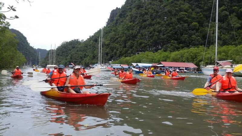 Langkawi: Kilim River Mangrove Safari Kayaking Tour - Final Words