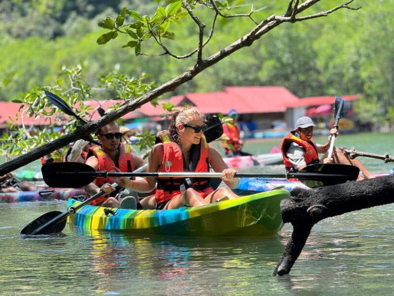 Langkawi: Mangrove Kayaking by Farly - Key Points