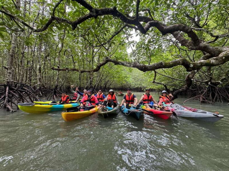 Langkawi: Mangrove Kayaking by Farly - What to Expect: A Step-By-Step Breakdown