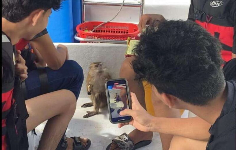 Langkawi Mangrove Monkey Package - Final Thoughts: Is the Langkawi Mangrove Monkey Package for You?