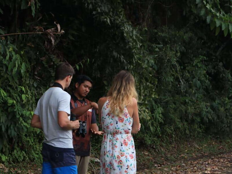 Langkawi: Nighttime Rainforest Tour with Nature Guide - FAQ