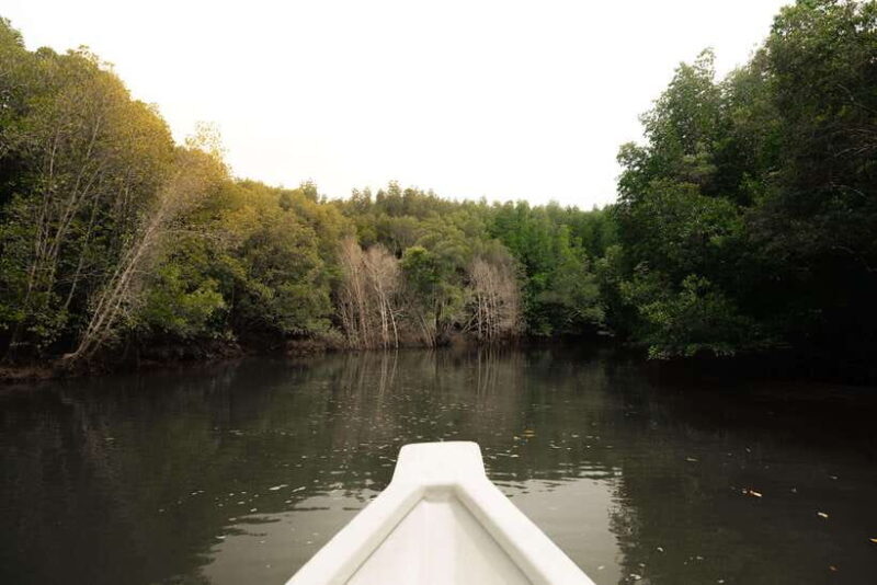 Langkawi Royal Mangrove Tour with Snorkeling Package - Authentic Experiences & Honest Feedback