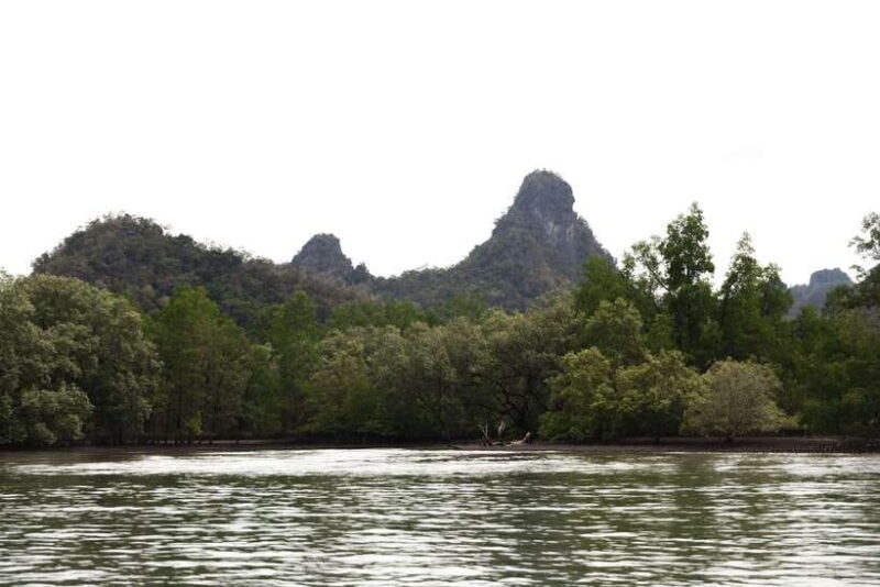 Langkawi Royal Mangrove Tour with Snorkeling Package - The Sum Up