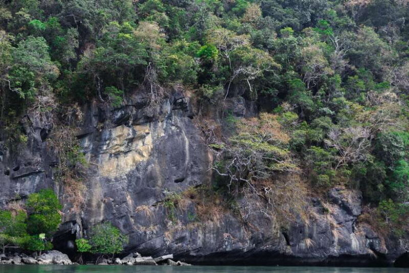 Langkawi Royal Mangrove Tour with Snorkeling Package - FAQ