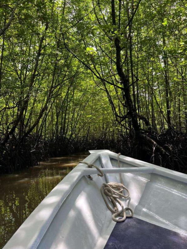 Langkawi: UNESCO Global Geopark Mangrove Cruise - Frequently Asked Questions
