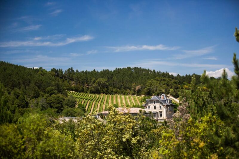 Languedoc: Heritage Tour & Tasting at Domaine De Baronarques - A 17th Century Estate