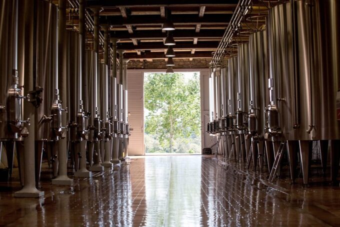 Languedoc: Heritage Tour & Tasting at Domaine De Baronarques - Historical Estate and Winemaking