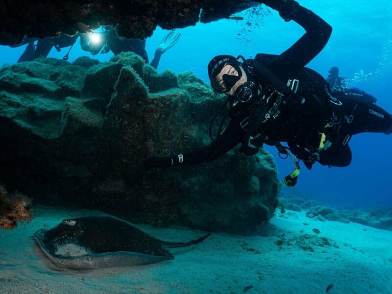 Lanzarote: 2-Dive Package for Certified Divers - Diving Locations and Experiences