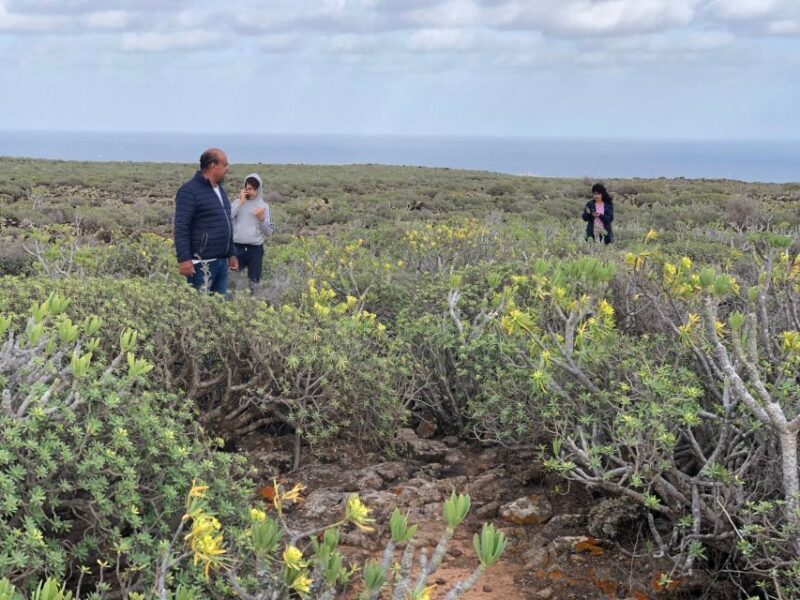Lanzarote: A Different Perspective Guided Driving Tour - Scenic Highlights