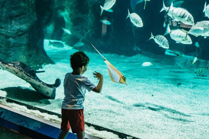 Lanzarote: Aquarium Entry Ticket - Aquarium Overview