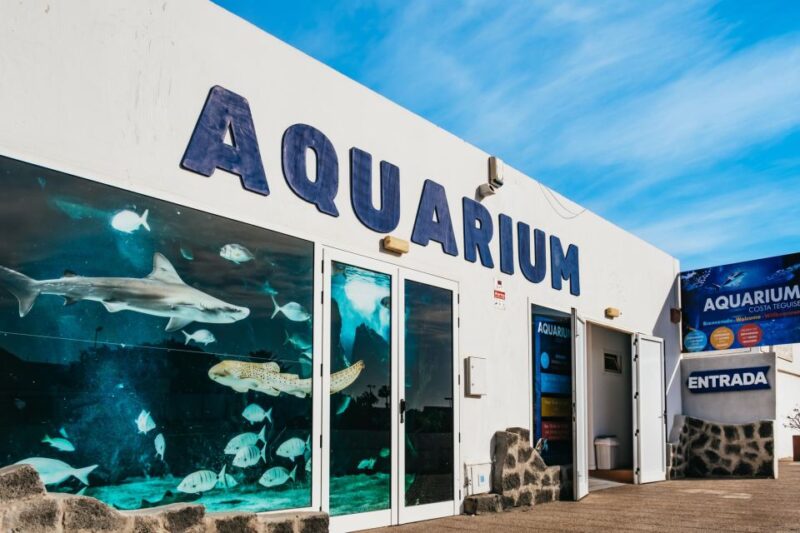 Lanzarote: Aquarium Entry Ticket - Notable Features