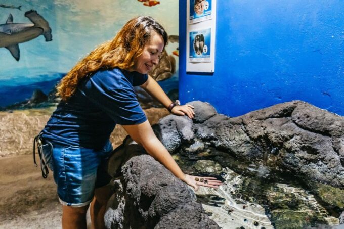Lanzarote: Aquarium Entry Ticket - Location and Accessibility