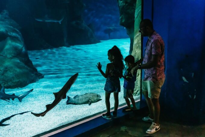 Lanzarote: Aquarium Entry Ticket - Booking Information