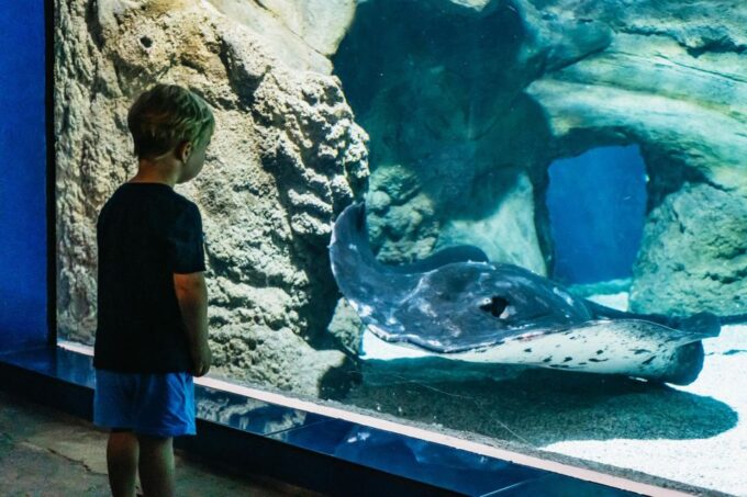 Lanzarote: Aquarium Entry Ticket - Frequently Asked Questions