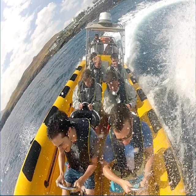 Lanzarote: Dolphin Watching by Speedboat - Customer Ratings and Feedback