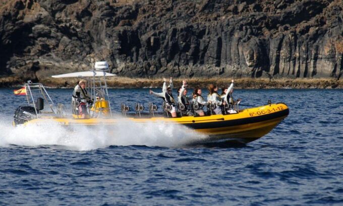 Lanzarote: Dolphin Watching by Speedboat - Frequently Asked Questions