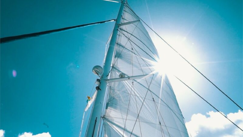 Lanzarote: Dolphin-Watching Sunset Cruise With Transfers - Key Points