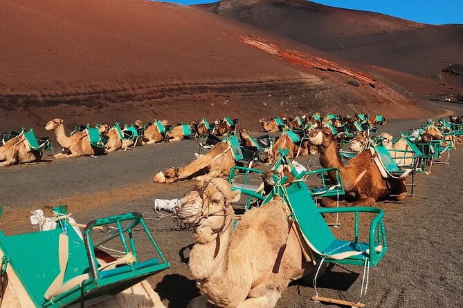 Lanzarote Grand Tour - Timanfaya National Park