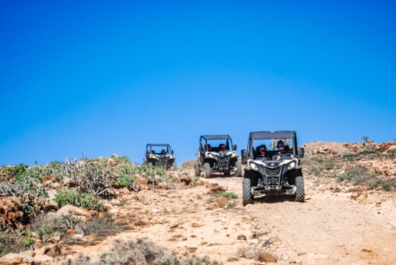 Lanzarote: Guided Off-Road Volcano Buggy Tour - Key Points