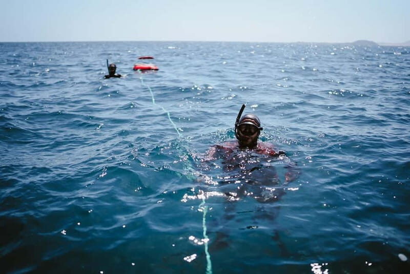 Lanzarote: Intro to Freediving Experience - FAQ  