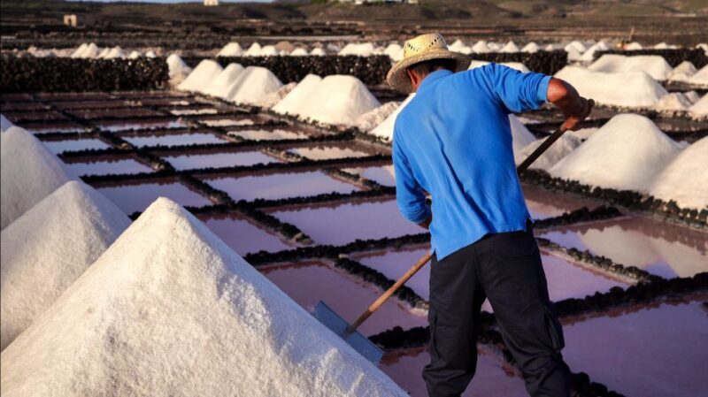 Lanzarote: Janubio Salt Flats Guided Tour - Participant Information
