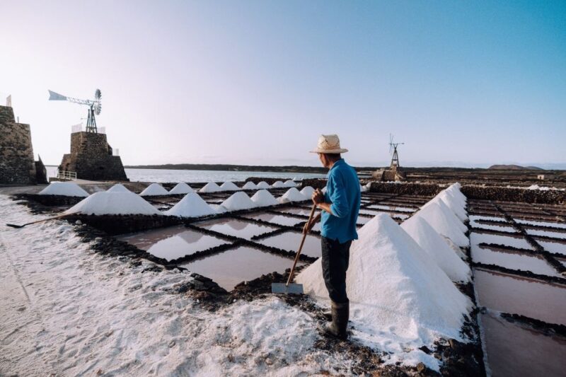Lanzarote: Janubio Salt Flats Guided Tour - Booking Options
