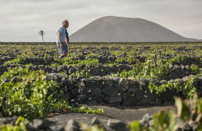 Lanzarote: Journey to the World of EL GRIFO - Participant Information