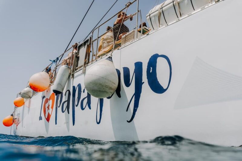 Lanzarote: Papagayo Beaches Cruise for Cruise Ship Passenger - Key Points