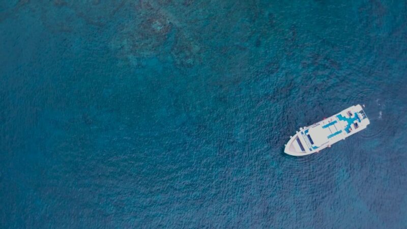 Lanzarote: Puerto Del Carmen & Puerto Calero Boat Transfer - Customer Ratings